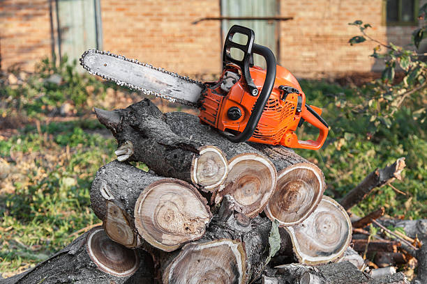 Tree Branch Trimming in Brownlee Park, MI